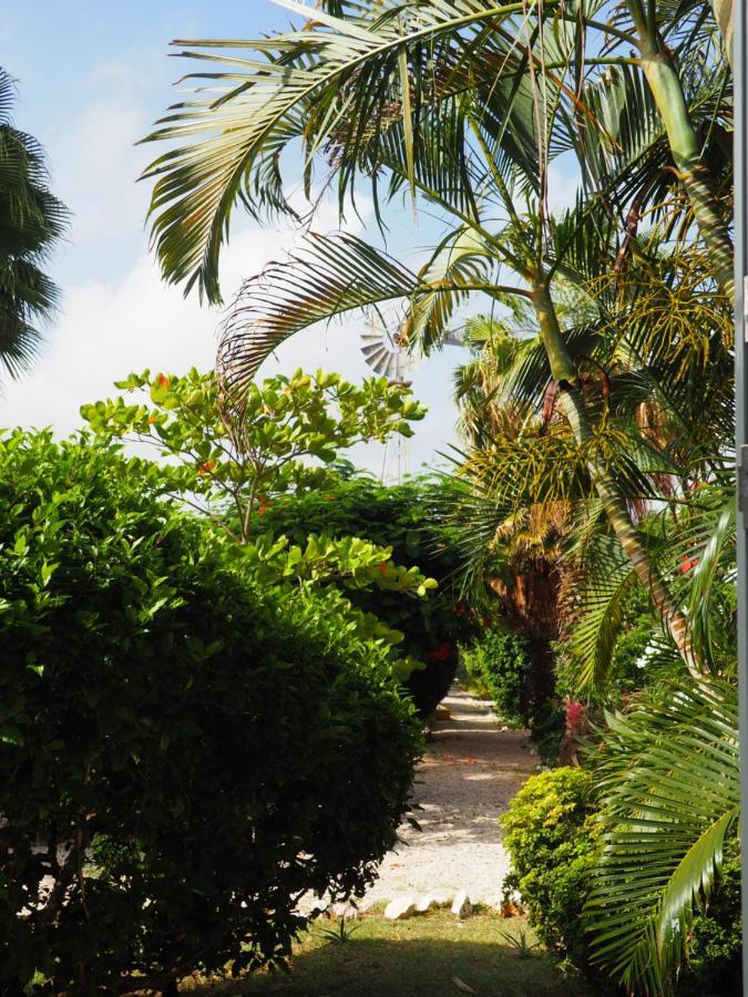 Kas Di Bami A-186 Op Seru Coral Resort - Ruim Appartement Met Groot Zwembad En Tropische Tuin Willemstad Exterior foto